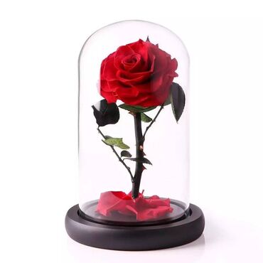 вечная роза цена: Роза в колбе (большой) 32см Цена: 4000 сом 16 см -2500 сом Живая роза