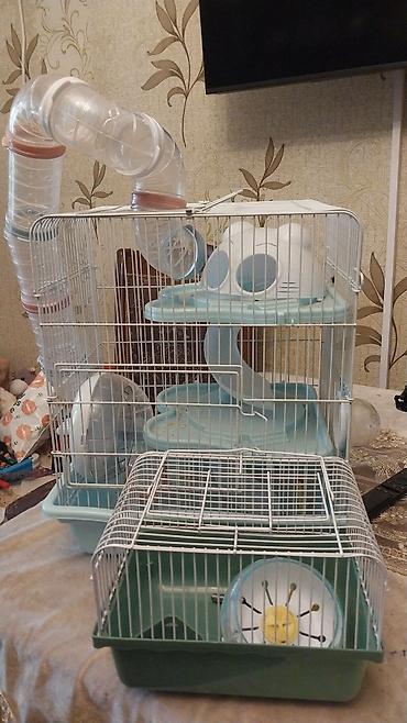 qəfəs böyük: Hamster üçün iki qəfəs dəsti - Böyük modul qəfəs: çoxmərtəbəli — 1