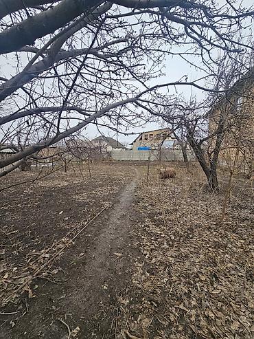 Sale of cottages and houses: Продаётся участок по первой линии Лебединовка напротив магазина Шекер — 9