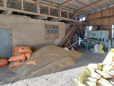 Другая коммерческая недвижимость: Иссык Кульская область,с.Тюп.Продается дом+ действующий бизнес — 8