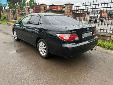 срочно продать машину: Toyota Windom: 2001 г., 3 л, Автомат, Бензин, Седан