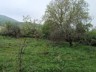 Torpaq sahələrinin satışı: 20 sot, Biznes üçün, Mülkiyyətçi, Kupça (Çıxarış) — 6