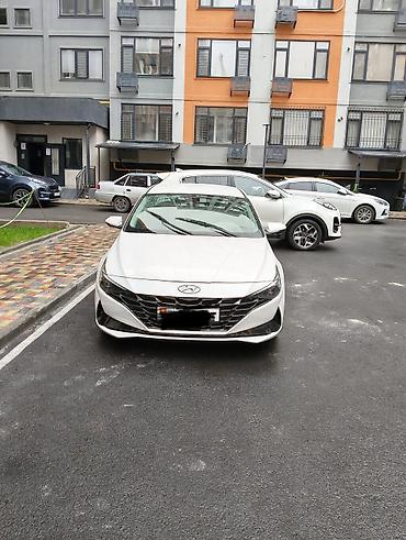 Hyundai Avante: 2020 г., 1.6 л, Автомат, Бензин, Седан
