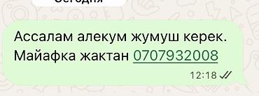 Такси, логистика, жеткирүү: Майафка 2 бала быз — 2