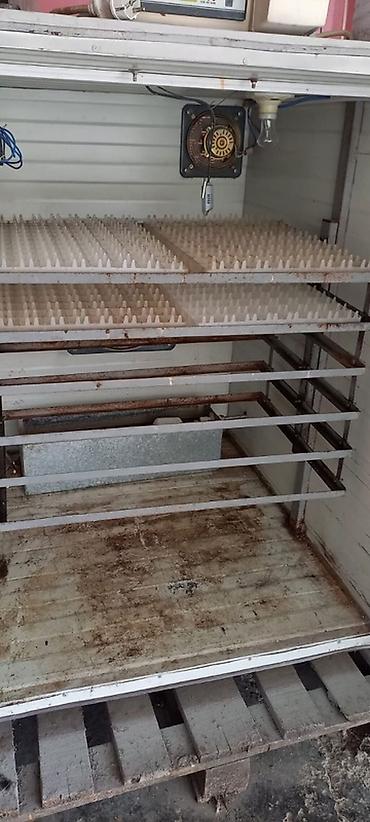 İnkubatorlar: Yumurta inkubasiya aparatı – “Automatic Computer Control Incubator” — 4