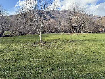 Torpaq sahələrinin satışı: 35 sot, Mülkiyyətçi — 5