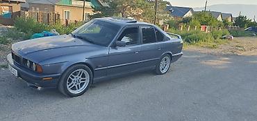 чип бмв е34: BMW 5 series: 1995 г., Седан — 2