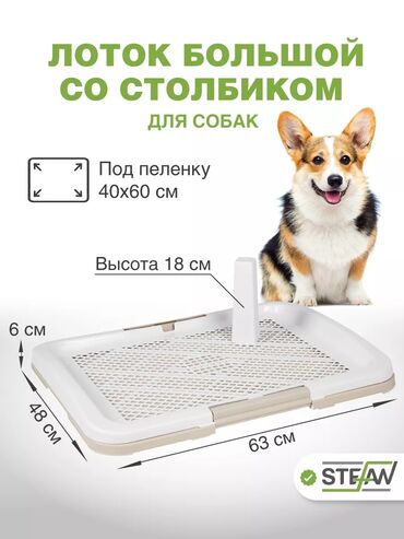 лежак для средней собаки: Лоток / туалет со столбиком для собак. большой размер L 63см*43см