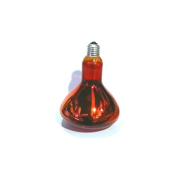İnkubatorlar: Lampa 250 w İnkubator ehtiyat hissələrinin satışı. Ünvan: Sumqayıt