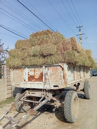 бройлерные куры живым весом: Экспорсет
Токмок
Покровка
