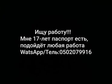 водитель курьер на личном авто: Үтүкчү