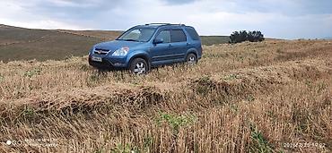 мт 80: Honda CR-V: 2003 г., 2 л, Механика, Бензин, Кроссовер — 2