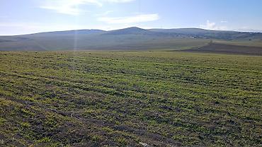 1 otaq ev satıram type 1: 100 sot, Kənd təsərrüfatı, Mülkiyyətçi, Kupça (Çıxarış) — 5