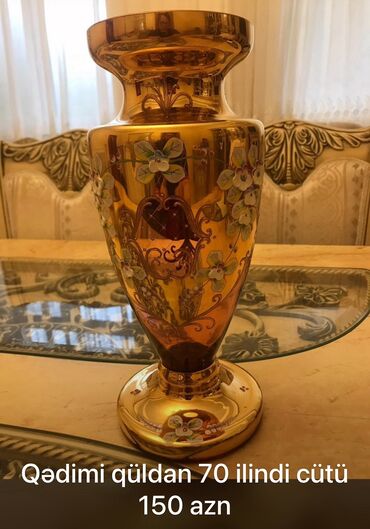 Digər: Baqema qabaıar muxtalif qiymətə — 9