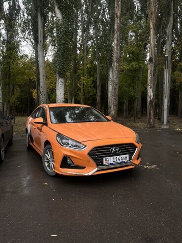 задние фонари бмв х5 е53: Hyundai Sonata: 2017 г., 2 л, Автомат, Газ, Седан