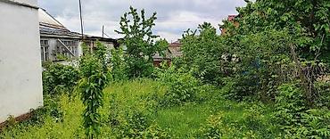 kiraye evlerin satisi: 5 sot, Tikinti, Kupça (Çıxarış) — 1