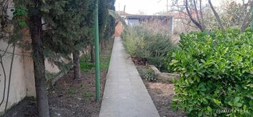 Həyət evləri və villaların satışı: 5 otaqlı, 250 kv. m, Yeni təmirli — 7