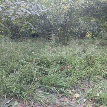 Torpaq sahələrinin satışı: 12 sot, Tikinti, Mülkiyyətçi, Kupça (Çıxarış) — 9