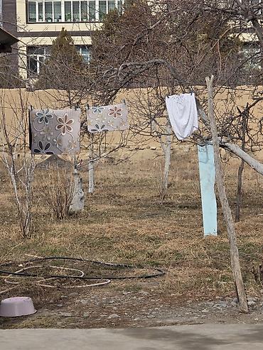 Продажа коттеджей и домов: Дом с двором и хозяйственными постройками. - Планировка: прихожая — 20