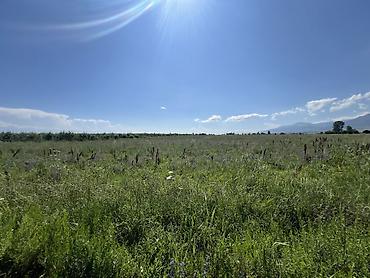 o2 development: 220 соток, Для сельского хозяйства, Договор купли-продажи, Тех паспорт — 3