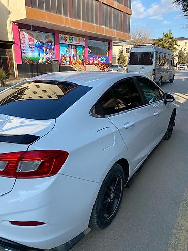 changan beni: Chevrolet Cruze sedan – ağ rəng problemsiz — 3