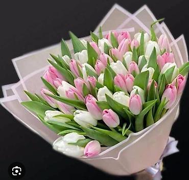 Букеты из живых цветов: Тюльпаны срезанные в наличии в ограниченном количестве -В продаже есть — 4