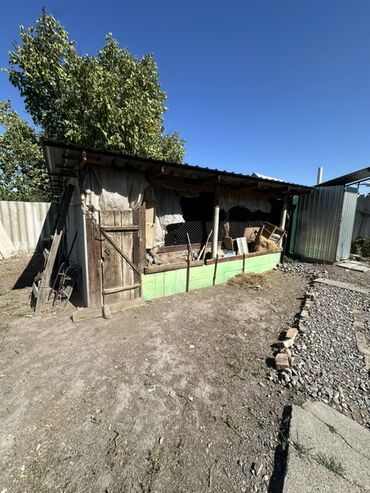 ΠΡΠΎΠ΄Π°ΠΆΠ° Π΄ΠΎΠΌΠΎΠ²: ΠΠΎΠΌ, 82 ΠΌΒ², 3 ΠΊΠΎΠΌΠ½Π°ΡΡ, ΠΠ³Π΅Π½ΡΡΡΠ²ΠΎ Π½Π΅Π΄Π²ΠΈΠΆΠΈΠΌΠΎΡΡΠΈ, ΠΠ²ΡΠΎΡΠ΅ΠΌΠΎΠ½Ρ at lalafo.kg β 9 ΠΡΠΎΠ΄Π°ΠΆΠ° Π΄ΠΎΠΌΠΎΠ²: ΠΠΎΠΌ, 82 ΠΌΒ², 3 ΠΊΠΎΠΌΠ½Π°ΡΡ, ΠΠ³Π΅Π½ΡΡΡΠ²ΠΎ Π½Π΅Π΄Π²ΠΈΠΆΠΈΠΌΠΎΡΡΠΈ, ΠΠ²ΡΠΎΡΠ΅ΠΌΠΎΠ½Ρ β 9