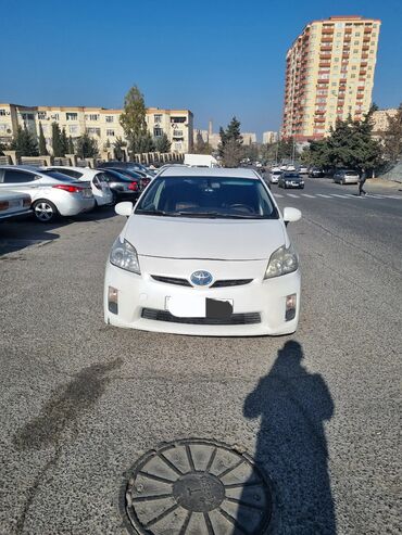 Toyota: Toyota Prius: 1.8 l | 2010 il Hetçbek — 7