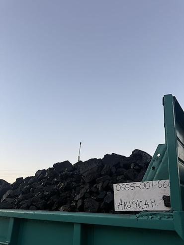 котёл б у: Каменный уголь, навалом. - Фракция: крупные куски/орех (видны плотные — 1