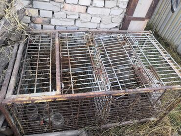 щенки французкого бульдога: Продаю большую клетку для кролов, можно для цыплят, курей и т. д