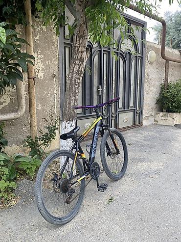 Dağ velosipedləri: Velosiped – VeloCruz dağ/şəhər tipi Yeni ötürücü və shimano tormuz — 3
