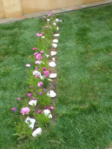 Bağbanlar: Salam bağ evlərində, Abyektlərdə parklarda bağban xidməti görülür — 5