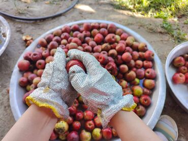 Souslar və ədviyyatlar: Evdə,təbii üsulla hazırlanmış(GMO-suz) Qəbələnin QIZILƏHMƏDİ — 10
