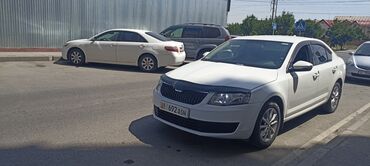 китайский машина цена: Белый седан Skoda Octavia. Этот автомобиль предлагает просторный салон