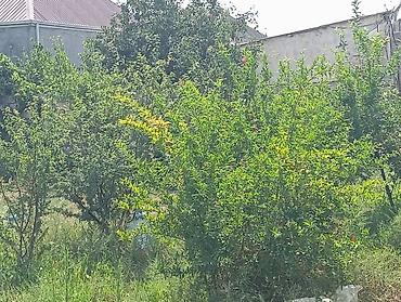 ev: Savalan 2 otaqlı, 75 kv. m, Kredit yoxdur, Orta təmir — 7