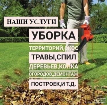 я ищу работу разнорабочий: Уборка территории, помещений, спил деревьев, покос травы, очистка