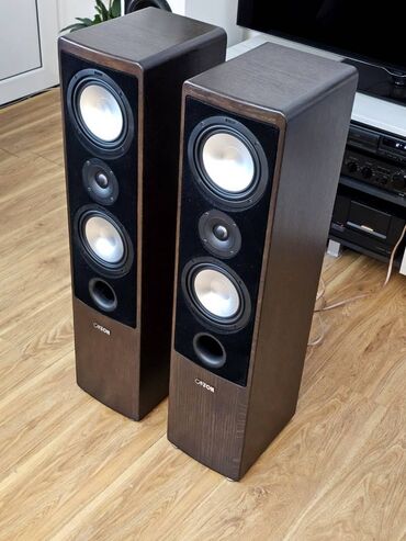 Zvučnici i stereo sistemi: Canton Ergo 670 DC podnostojeće Hi‑Fi zvučničke kutije – par - — 10