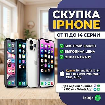 СРОЧНЫЙ ВЫКУП iPhone! 📲💸 Покупаю iPhone от 11 до 14 серии (iPhone 11