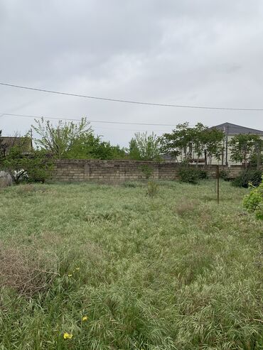 Torpaq sahələrinin satışı: 4 sot, Tikinti, Mülkiyyətçi, Kupça (Çıxarış)