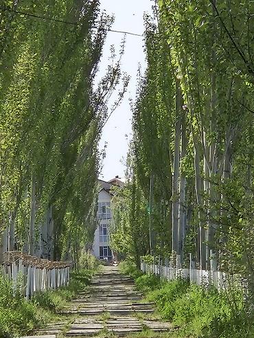Продажа квартир: 2 комнаты, 48 м², Элитка, 3 этаж, Евроремонт — 20