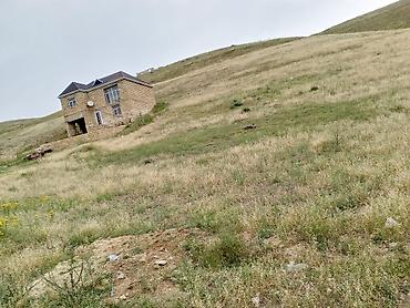 Torpaq sahələrinin satışı: 4 sot, Tikinti, Bələdiyyə — 12
