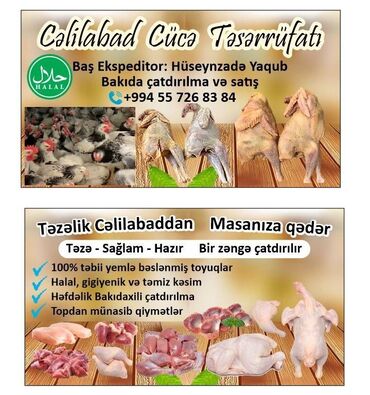 tort sekilleri tortlar: Cəlilabaddan Kənd Çolpaları. Ayaqları sarı. Hərəkətdə olan təbii kənd