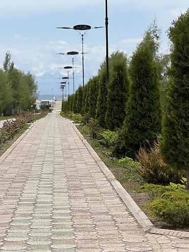 Посуточная аренда домов: “ASIA PALASE” КОТТЕДЖ, ВИП ГОРОДОК 📍САРЫ-ОЙ БАЛДАР АЯНТЧАСЫУНАА — 49