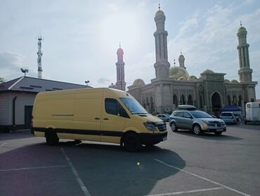 фикус с белыми листьями: Бус, Көчүү, эмеректерди көчүрүү, Регион боюнча, Шаар ичинде, жүк ташуучу жумушчусу менен