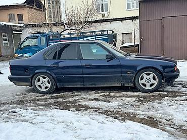 BMW: BMW 5 series: 1994 г., 3 л, Механика, Бензин, Седан — 2