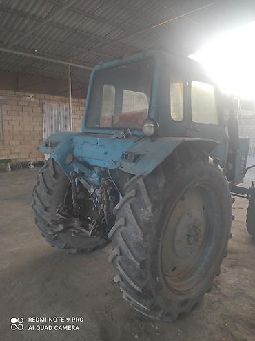 taxıl bicən kombaynlar: Traktor Belarus (MTZ) 80, 1989 il, 80 at gücü, motor 2.4 l, İşlənmiş — 6