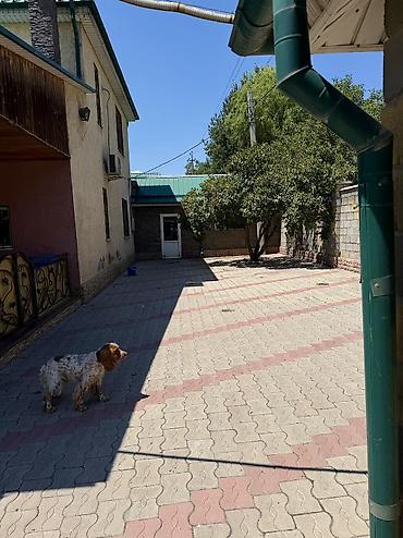 3 ком: 200 м², 4 комнаты — 4