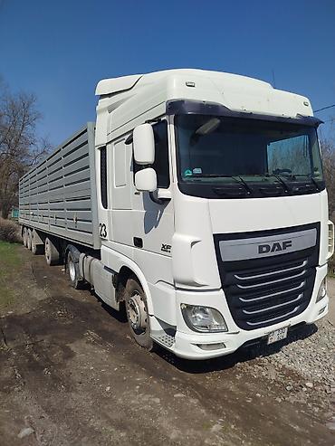 Тягачи: Тягач, DAF, 2014 г., Бортовой — 2