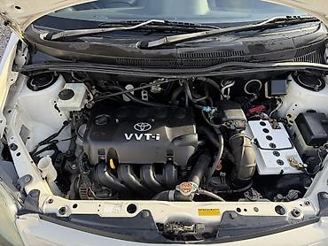 Toyota: Toyota ist: 2003 г., 1.5 л, Автомат, Бензин, Хэтчбэк — 9