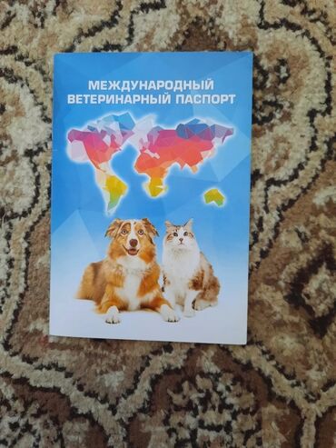 объявления о продаже собак: Спаниель, 1 год, Самка, С прививкой, С родословной
